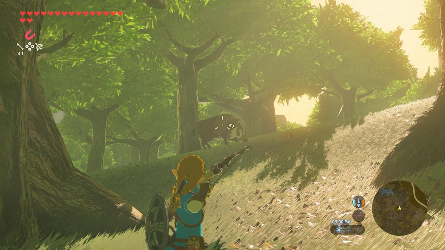 Switch 2 Zelda Breath of the Wild