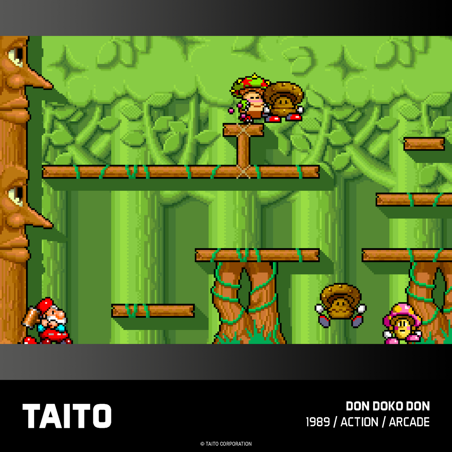 Cartucho Evercade Taito Arcade 1