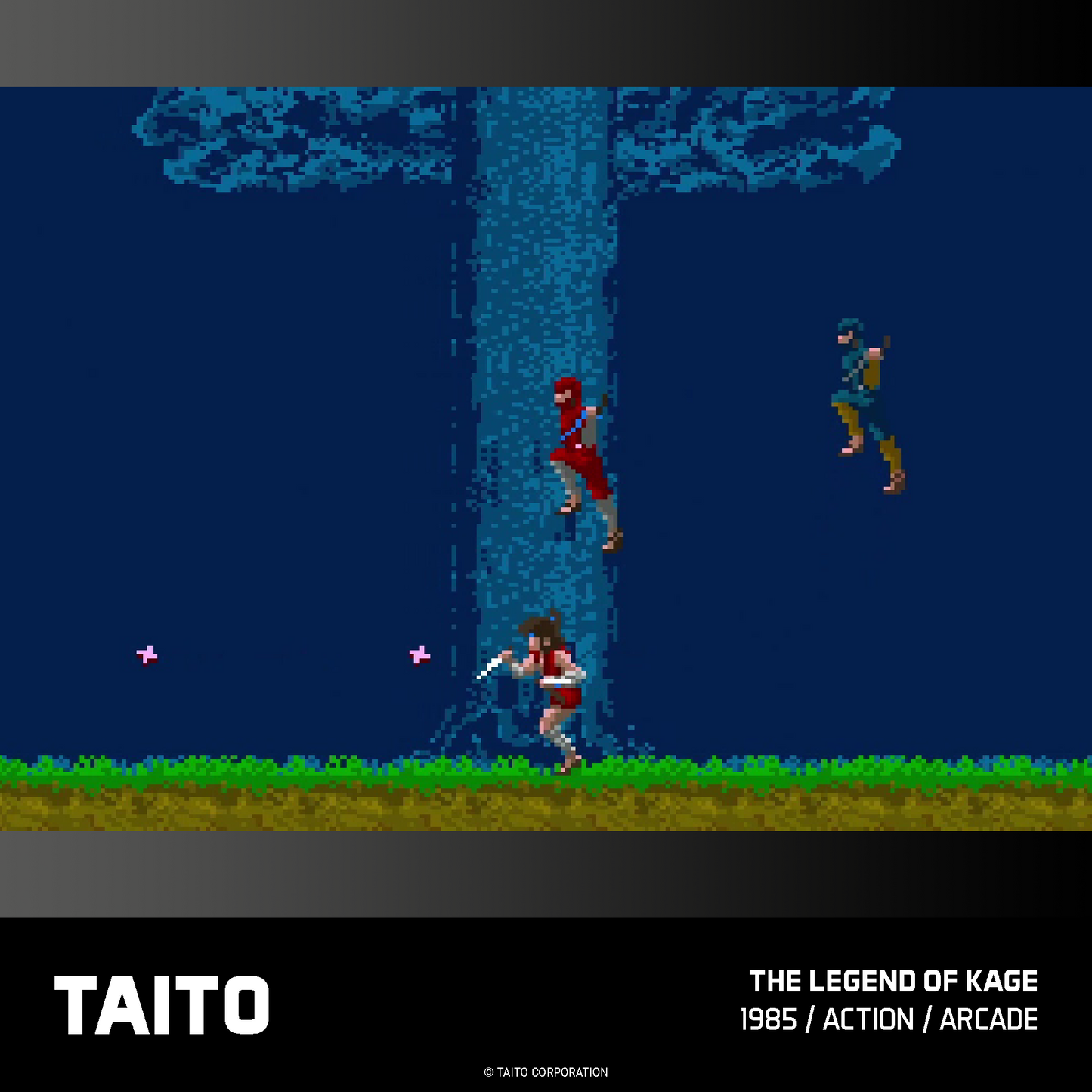 Cartucho Evercade Taito Arcade 1