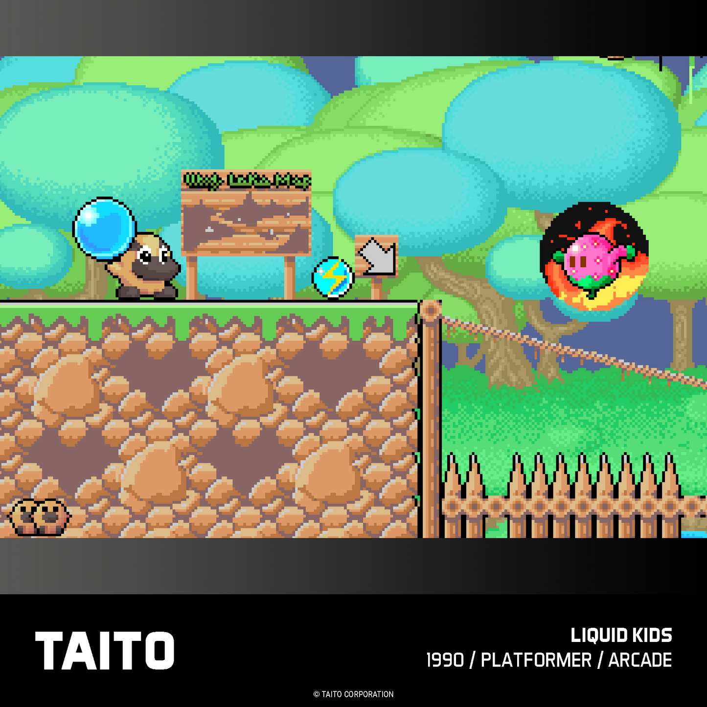 Cartucho Evercade Taito Arcade 2